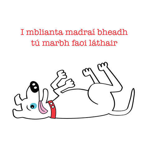 This card features a dog lying on his back with 4 paws up in the air wishing you a happy birthday whilst saying in dog years you'd be dead by now. A cheeky birthday card guaranteed t o make a dog lover laugh and this is all said in the irish language