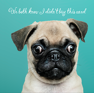 We both know Pug Birthday Card