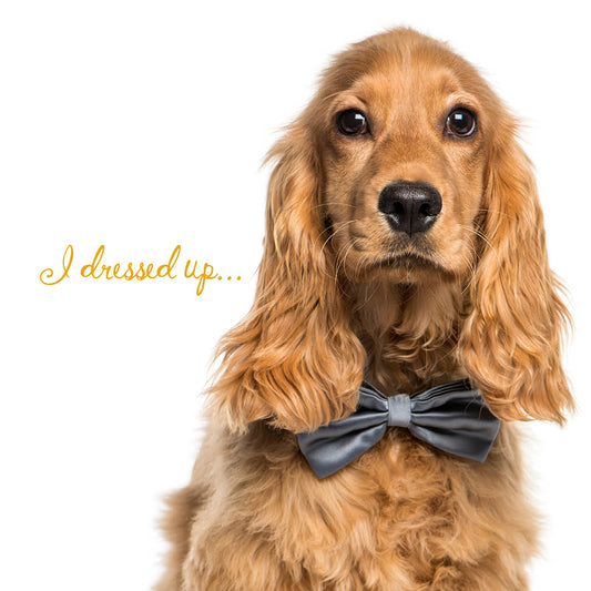 Dressed Up Celebration Card