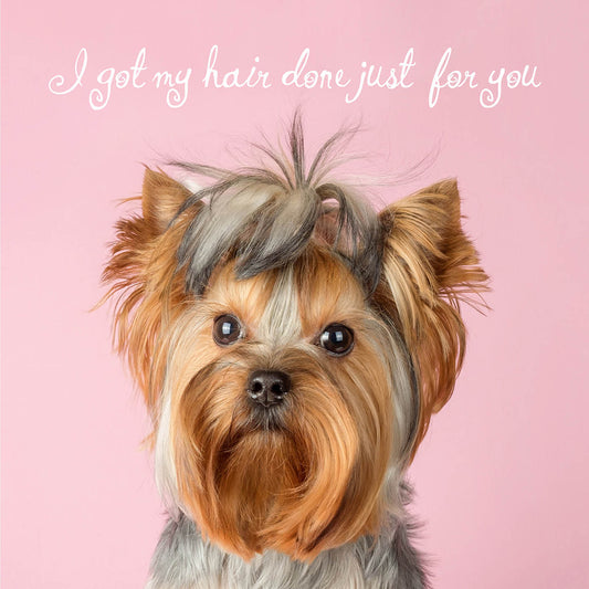 Happy Birthday Yorkie Pink Card