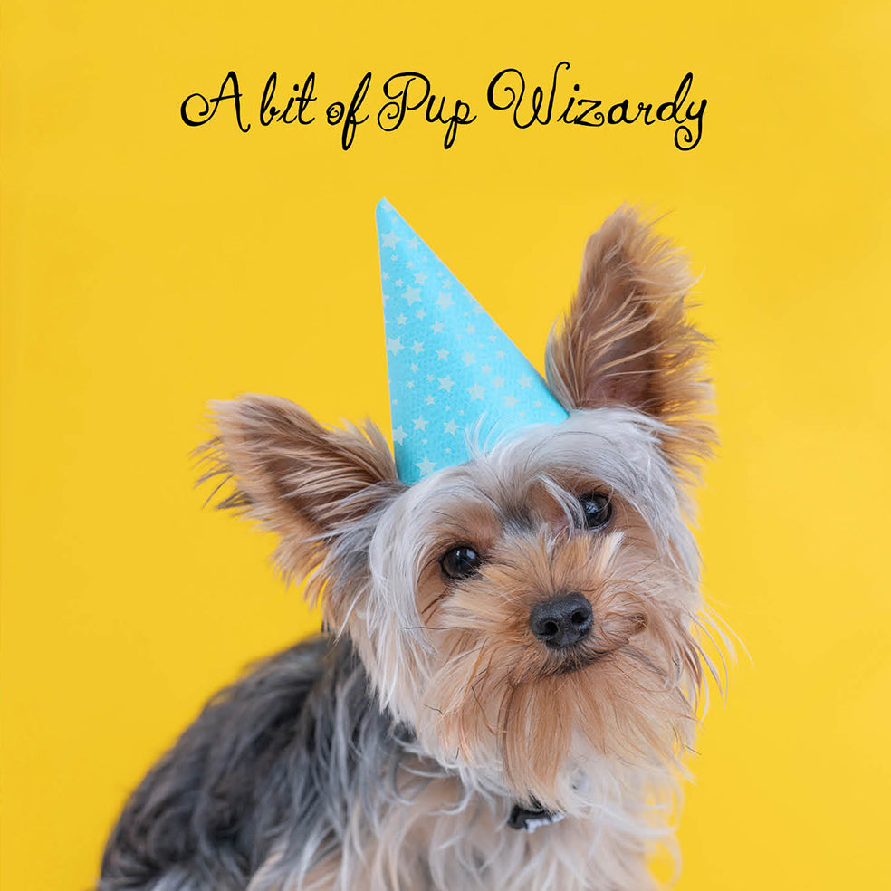 Yorkie Wizard Birthday Card