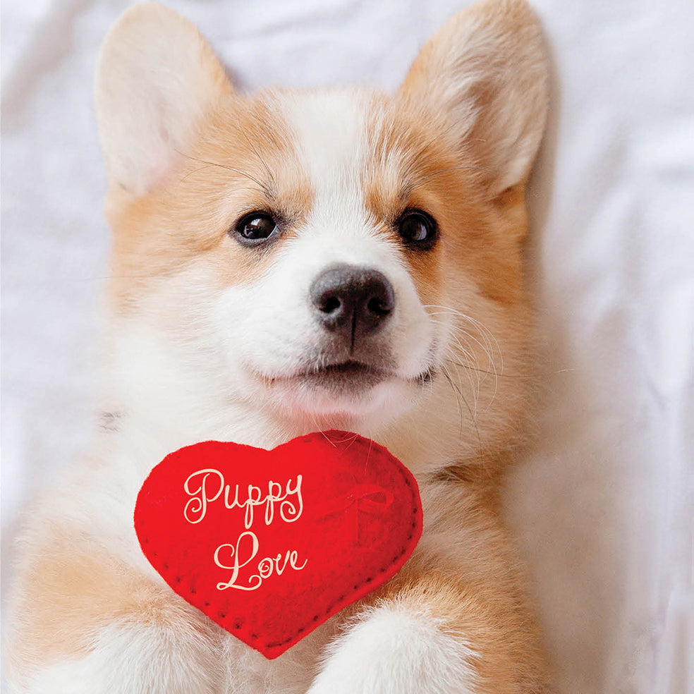 Puppy Love Card