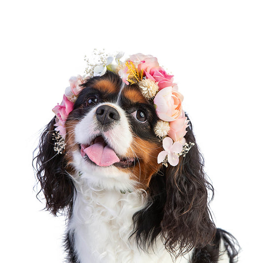 Wedding Spaniel Blank Card