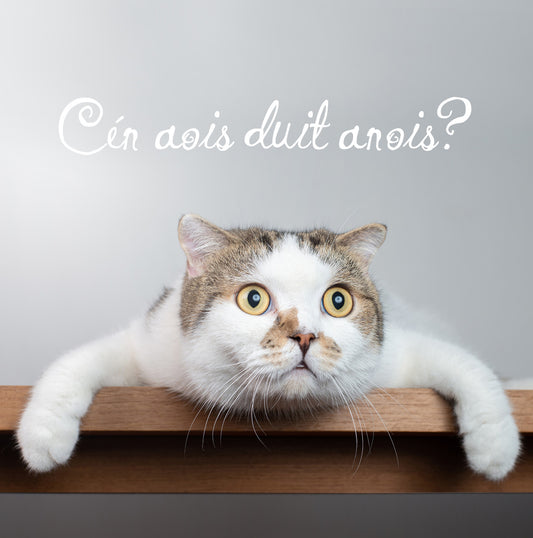 You are how old?  Cat Birthday Card - Irish language card