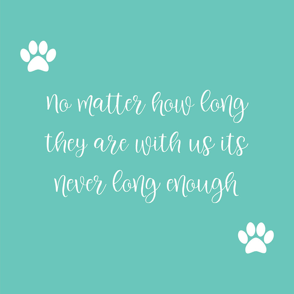 Never Long Enough Pet Sympathy Card