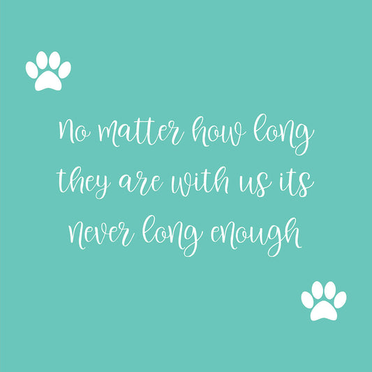 Never Long Enough Pet Sympathy Card